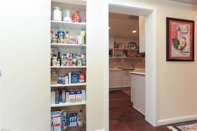 view of pantry