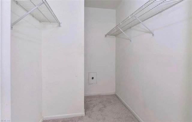 spacious closet featuring light colored carpet