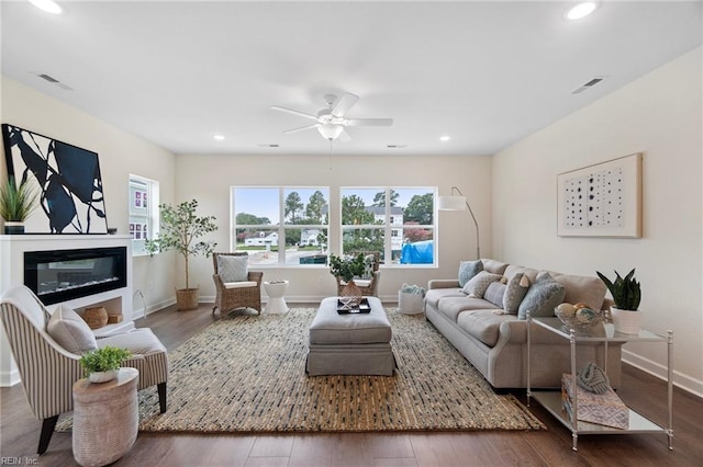 living room with ceiling fan, wood-type flooring, and a wealth of natural light