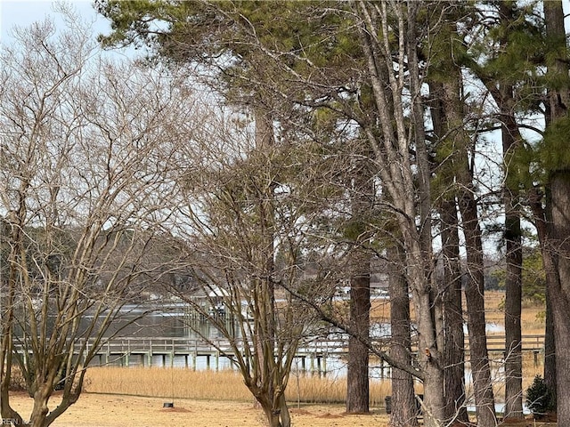 view of yard featuring a water view