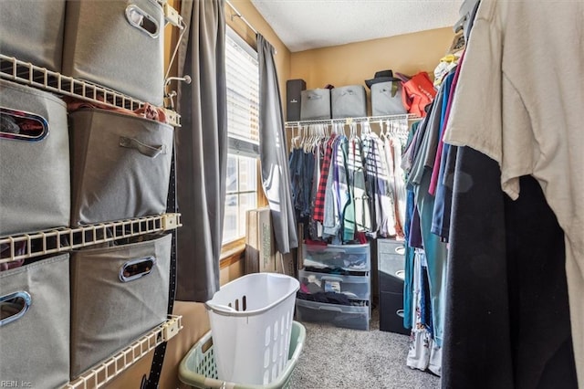 spacious closet featuring carpet