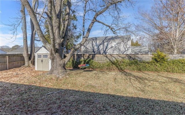 view of yard with a storage unit