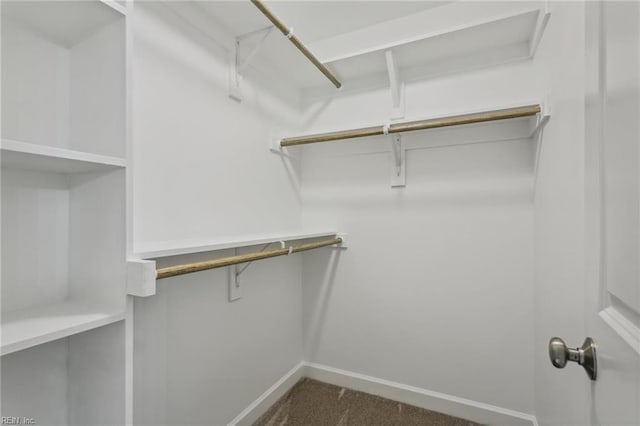 walk in closet with dark carpet