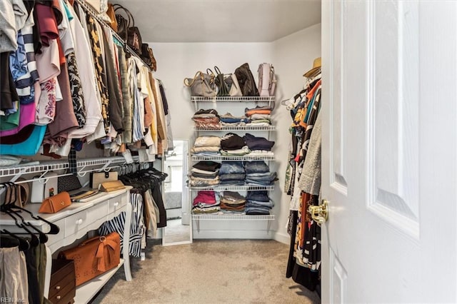 spacious closet featuring light carpet