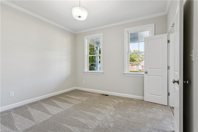 carpeted empty room with crown molding