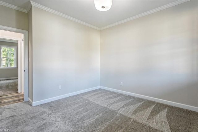 empty room featuring ornamental molding and carpet flooring