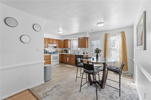 kitchen with plenty of natural light, dishwasher, and white electric range oven