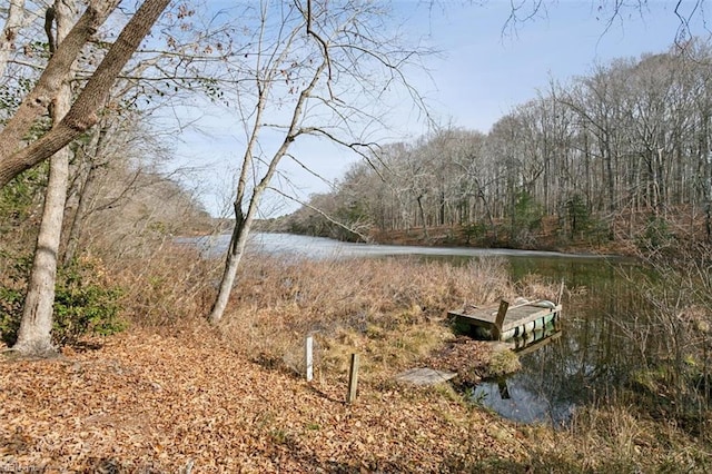 view of water feature with a boat dock