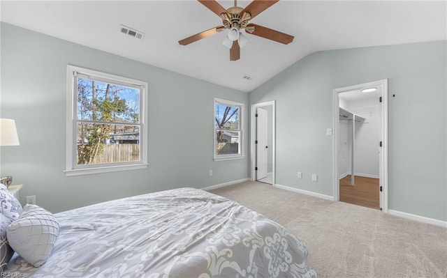 carpeted bedroom with lofted ceiling, a walk in closet, and ceiling fan