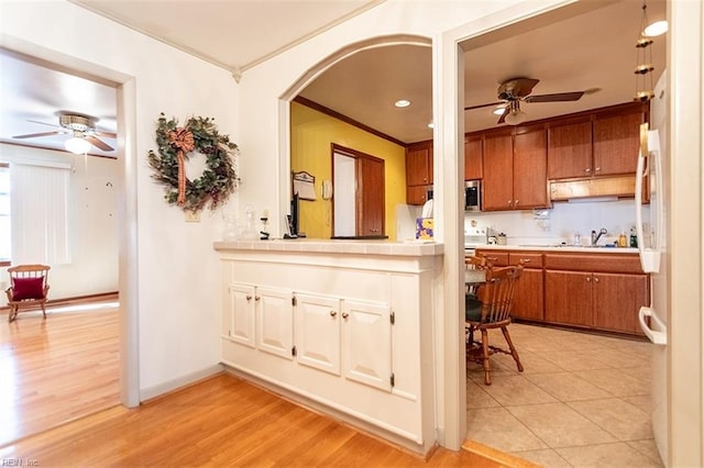 kitchen featuring crown molding, light hardwood / wood-style flooring, and ceiling fan