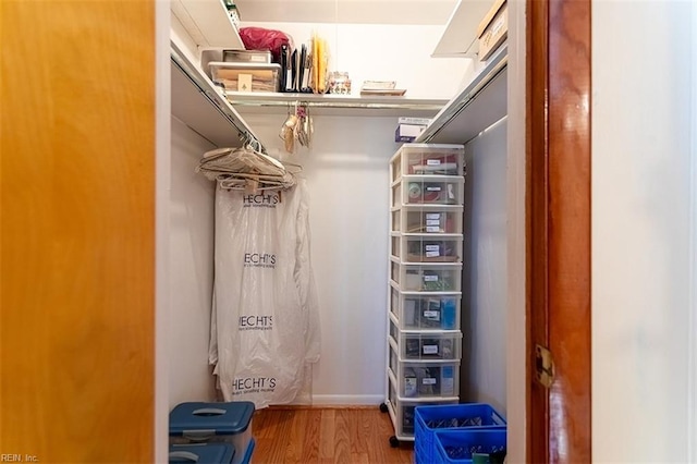 spacious closet with wood-type flooring