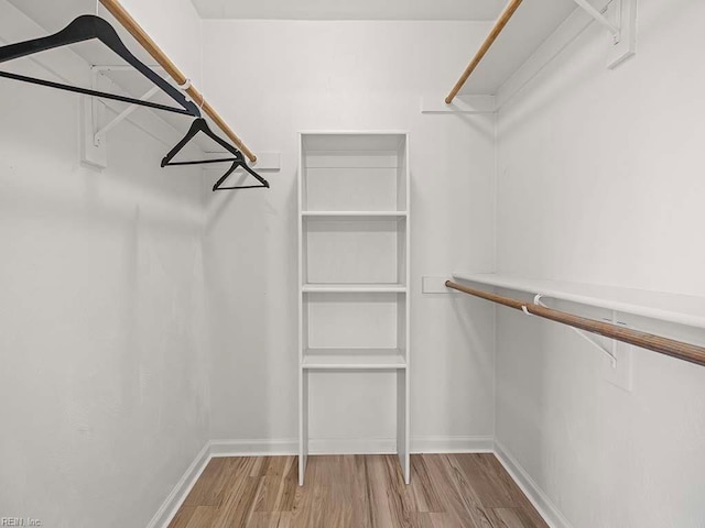 walk in closet featuring hardwood / wood-style floors