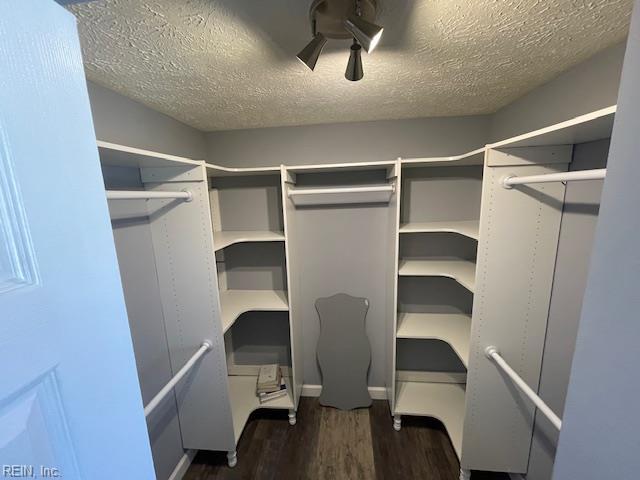 walk in closet featuring dark wood-type flooring
