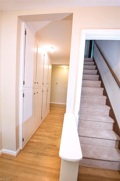 stairway with wood-type flooring