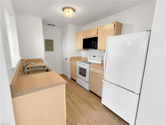 kitchen featuring sink, light wood-type flooring, light brown cabinets, electric panel, and white appliances