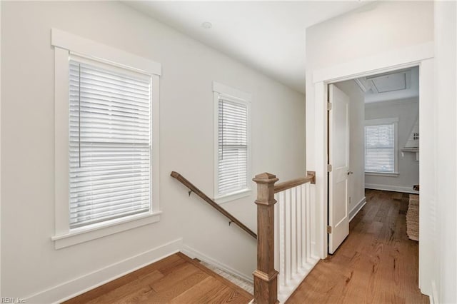 stairs featuring hardwood / wood-style flooring