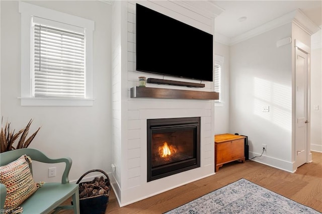 living room with crown molding, wood-type flooring, and a fireplace