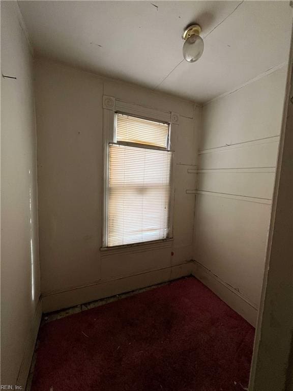 spare room featuring carpet flooring