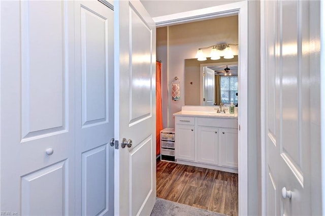 bathroom featuring hardwood / wood-style flooring and vanity