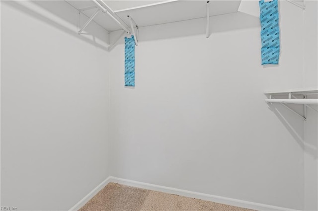 3613 Wetherington Dr Unit 103, Virginia Beach, VA 23453 - spacious closet featuring carpet flooring