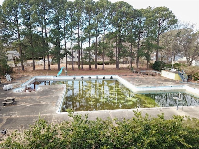 view of pool featuring a patio