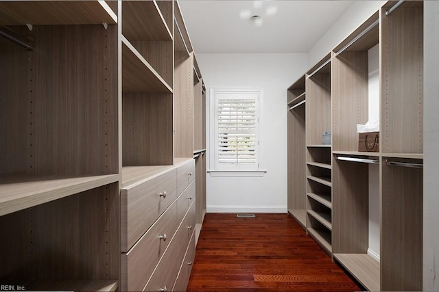 spacious closet featuring dark wood-type flooring