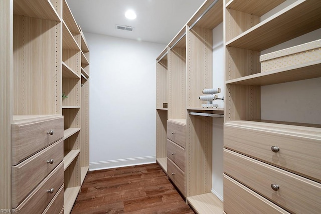 spacious closet featuring dark wood-type flooring