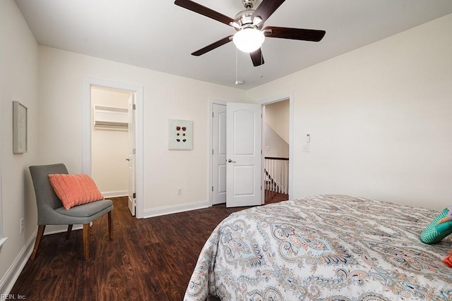 bedroom featuring a walk in closet, dark wood-type flooring, a closet, and ceiling fan