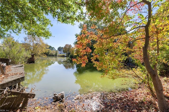 property view of water