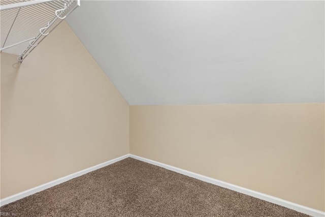 spacious closet with vaulted ceiling and carpet