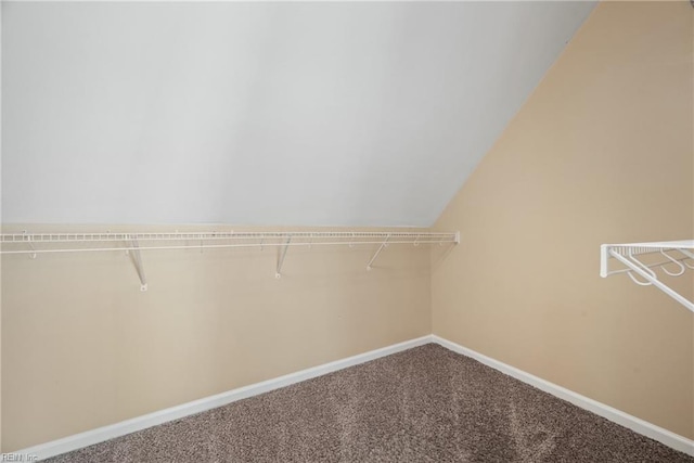 spacious closet featuring carpet floors and vaulted ceiling