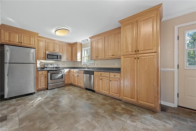 kitchen with crown molding, stainless steel appliances, sink, and plenty of natural light