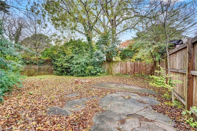 view of yard featuring a patio