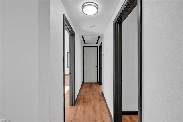 hallway featuring light wood-type flooring