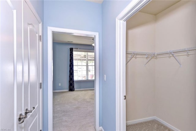 walk in closet featuring light carpet