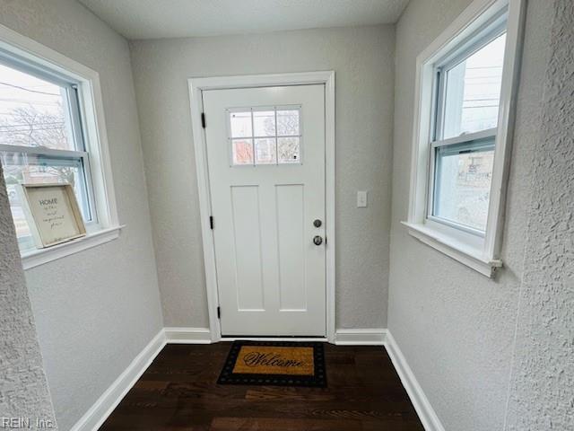 entryway featuring wood-type flooring and a wealth of natural light