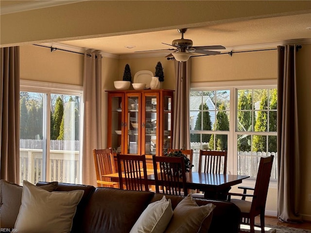 dining area featuring crown molding and ceiling fan