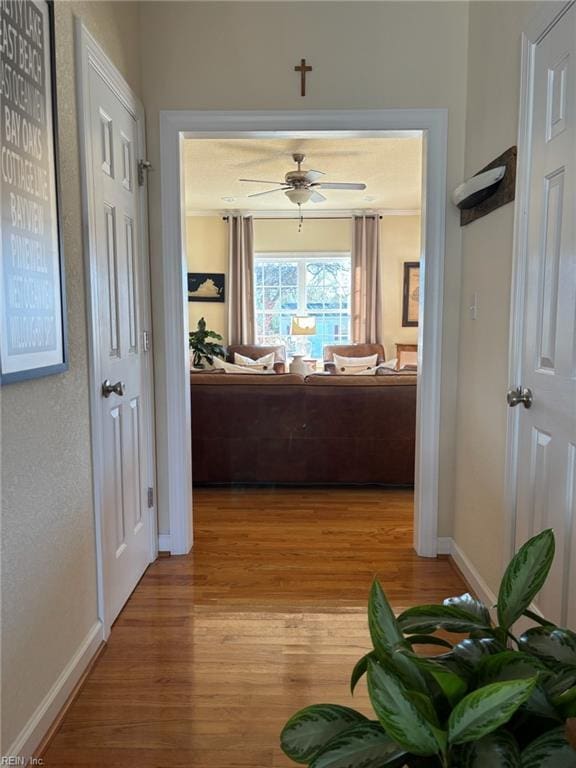 hall featuring light hardwood / wood-style floors