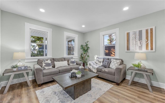 living room featuring hardwood / wood-style floors