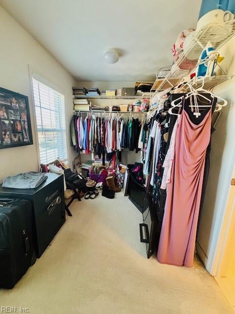 walk in closet with carpet floors