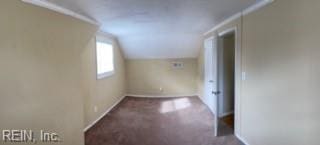 additional living space with dark colored carpet and lofted ceiling