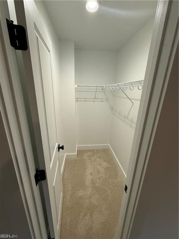 spacious closet with light colored carpet