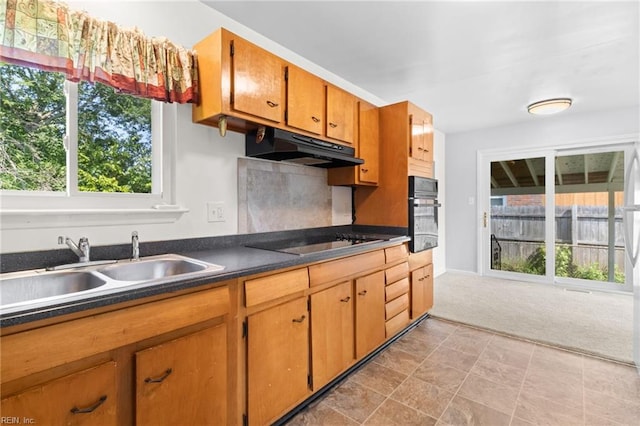 kitchen featuring light carpet, sink, and black appliances