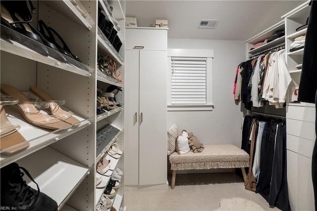 view of walk in closet