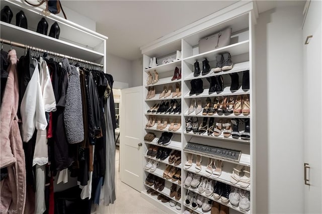 view of spacious closet