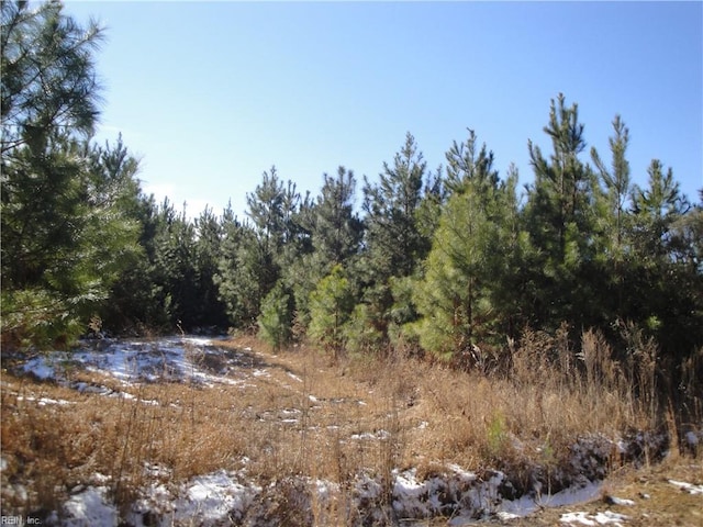 159AC Okelly Dr, Suffolk VA, 23437 land for sale