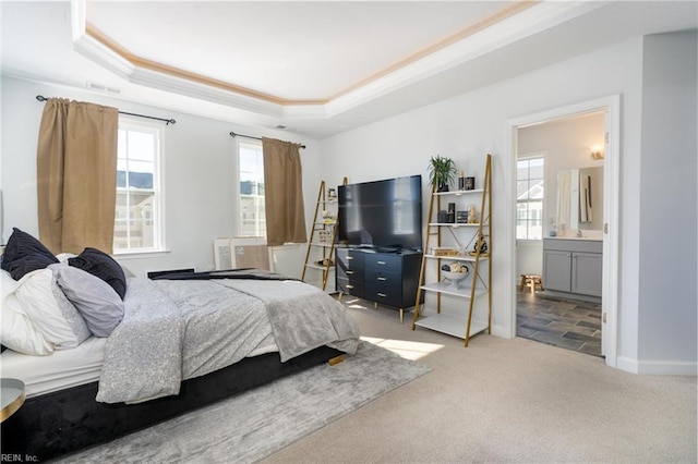 bedroom featuring carpet flooring, a raised ceiling, and multiple windows