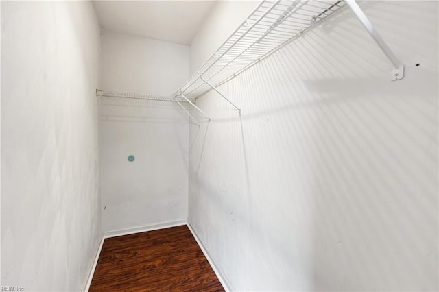 spacious closet featuring dark hardwood / wood-style flooring