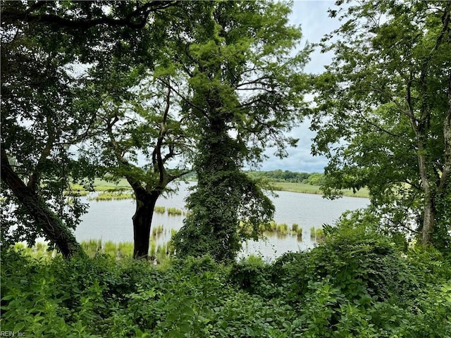 view of water feature