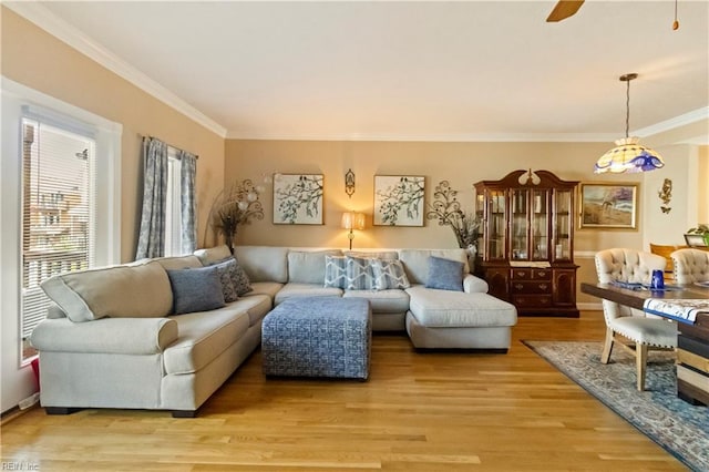 living room featuring ornamental molding, ceiling fan, and light hardwood / wood-style floors